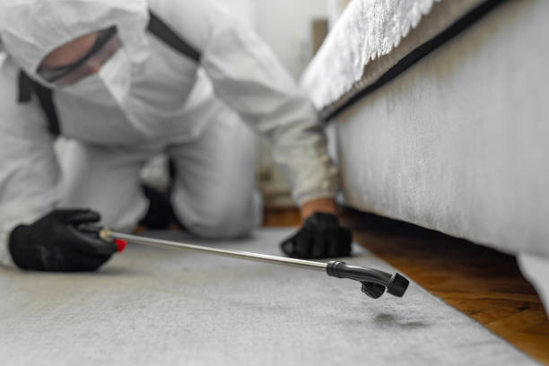 Professional Bed Bug Control technician working in Southport, IN