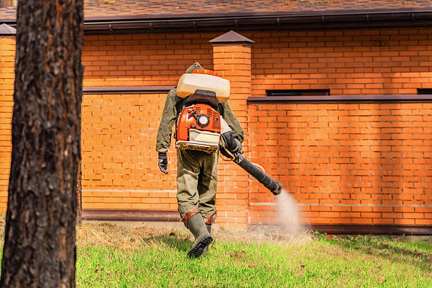 Trusted Termite Control service in Southport, IN - Nex Pest Control